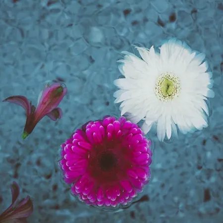 Hotel Turunc House Kayakoy