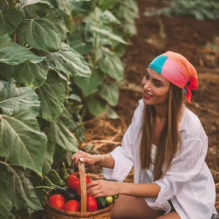 מלון Turunc House Kayakoy