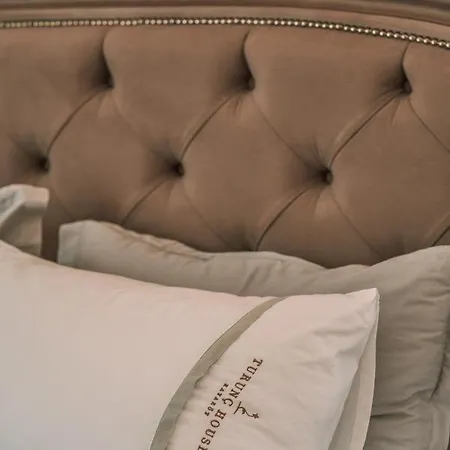 Turunc House Kayakoy