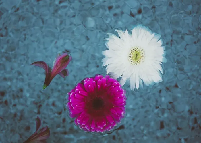 Szálloda Turunc House Kayakoy