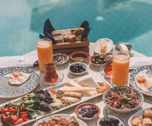 Turunc House Kayakoy