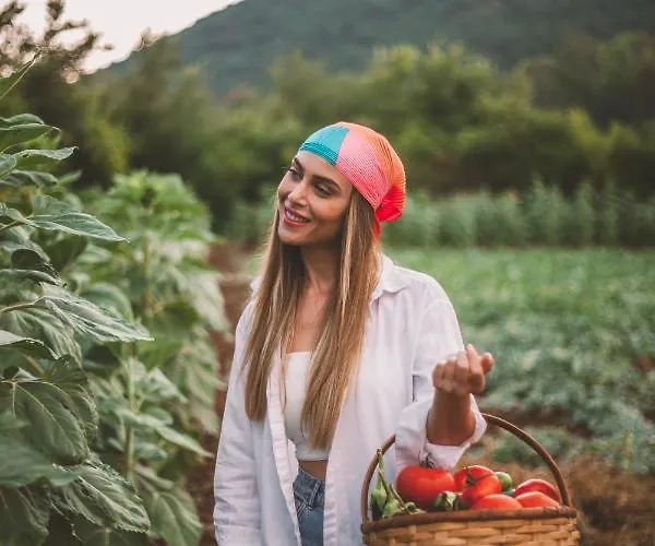 Szálloda Turunc House *