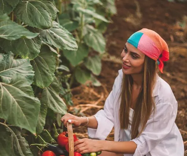 Szálloda Turunc House Kayakoy